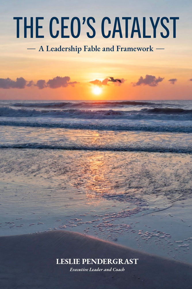 The CEO's Catalyst Book Cover